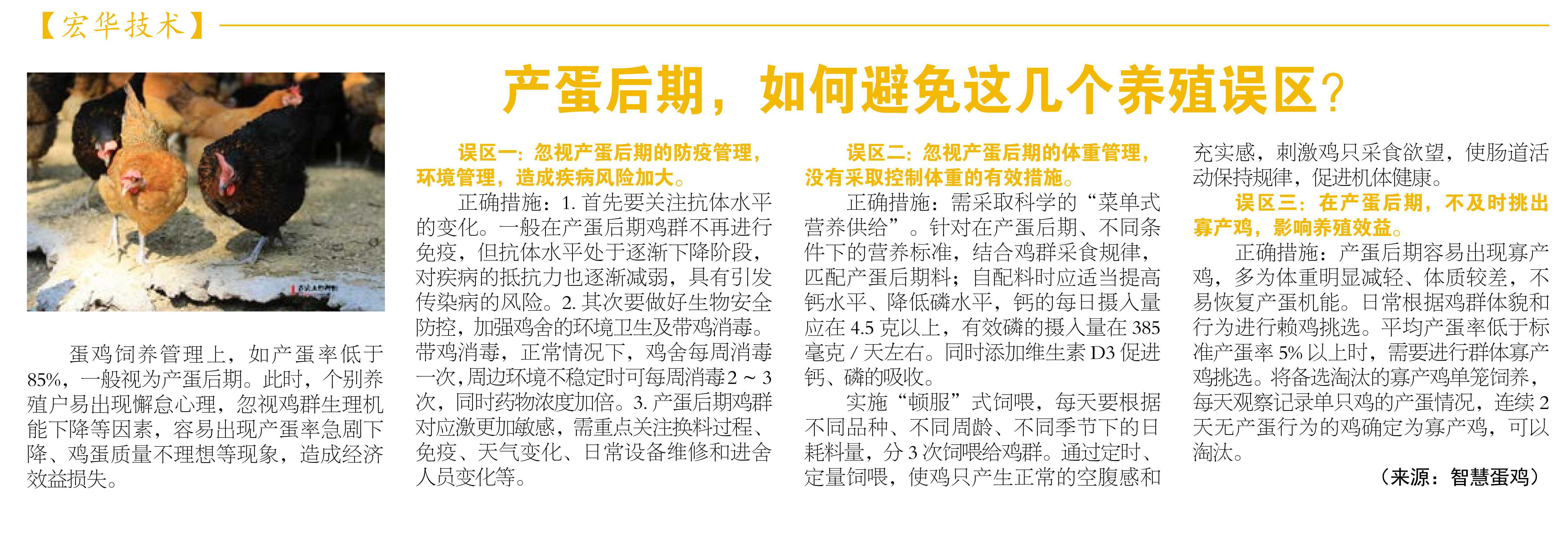企業(yè)內(nèi)刊.jpg